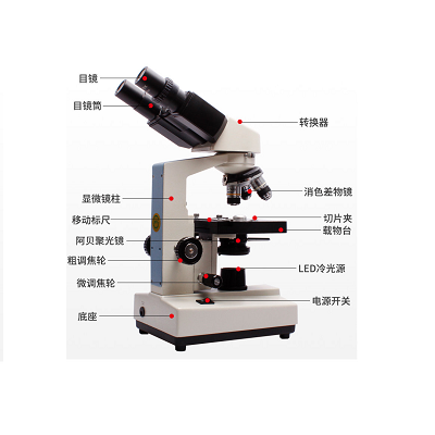 江西鳳凰XSP-36雙目生物顯微鏡