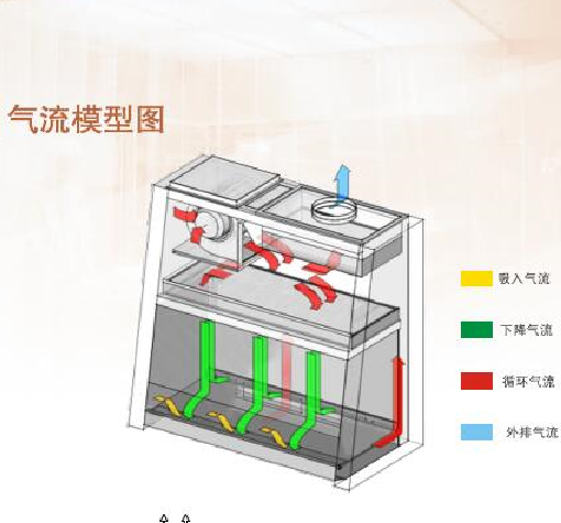 生物安全柜2.png