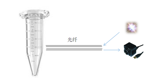 內(nèi)頁11.png